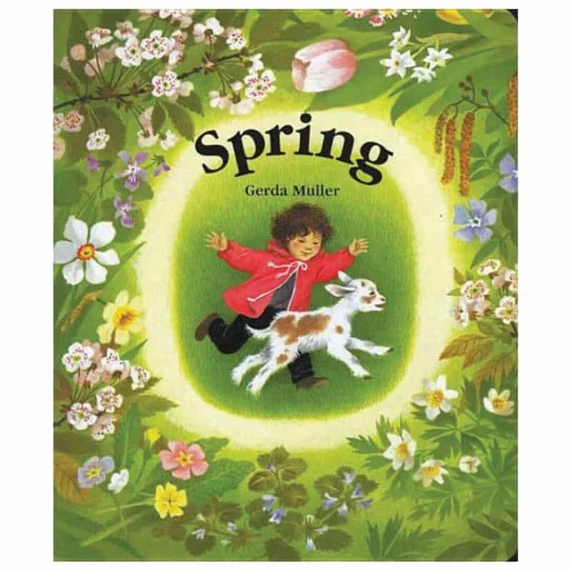 Spring By Gerda Muller - Board Book