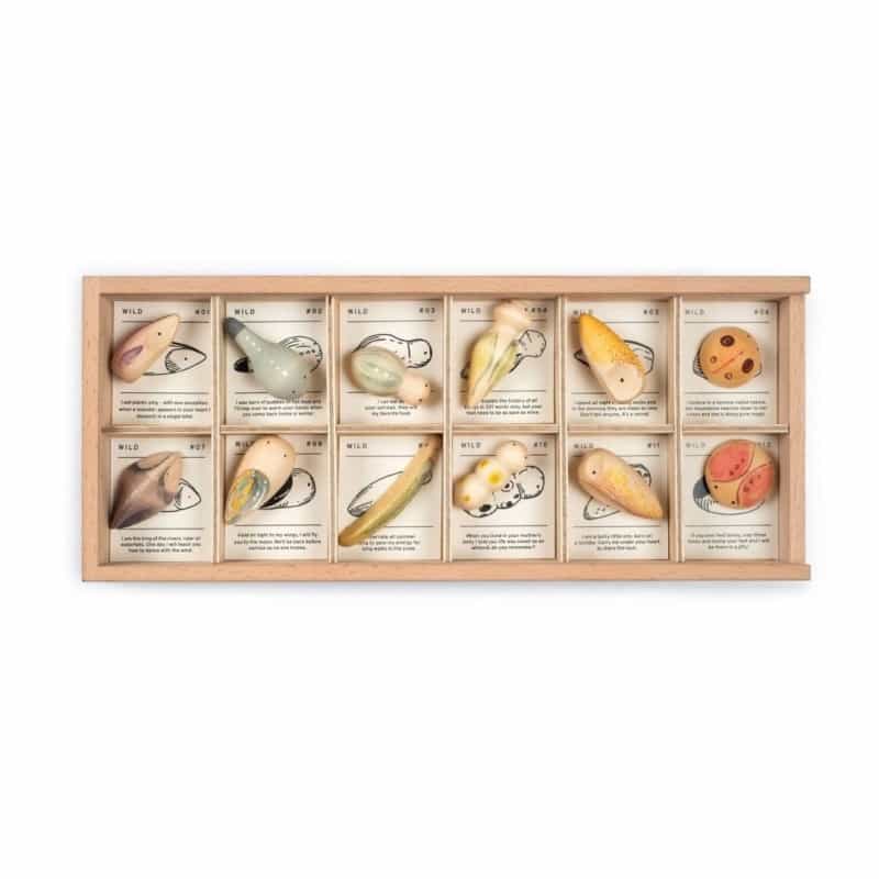 Wild: Exploration Play Set And Sorting Tray