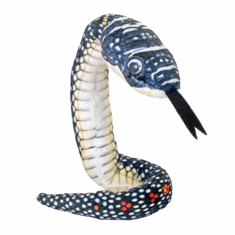 Coilkins Paradise Flying Snake Stuffed Animal - 12"