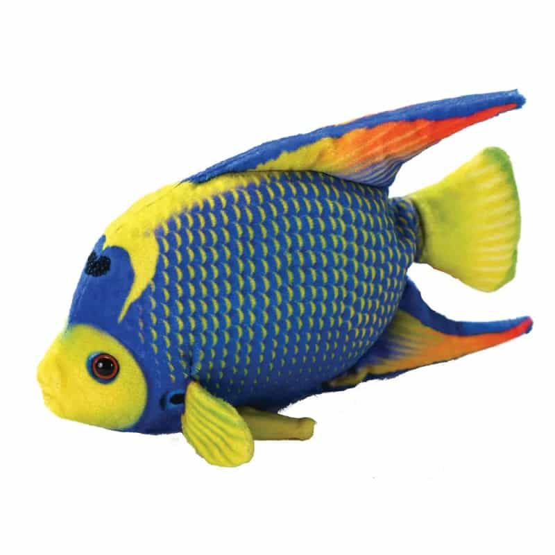 Coral Reef Queen Angelfish Stuffed Animal - 6"