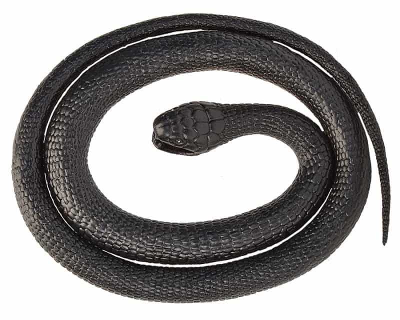 Rubber Snakes Black Mamba - 46"