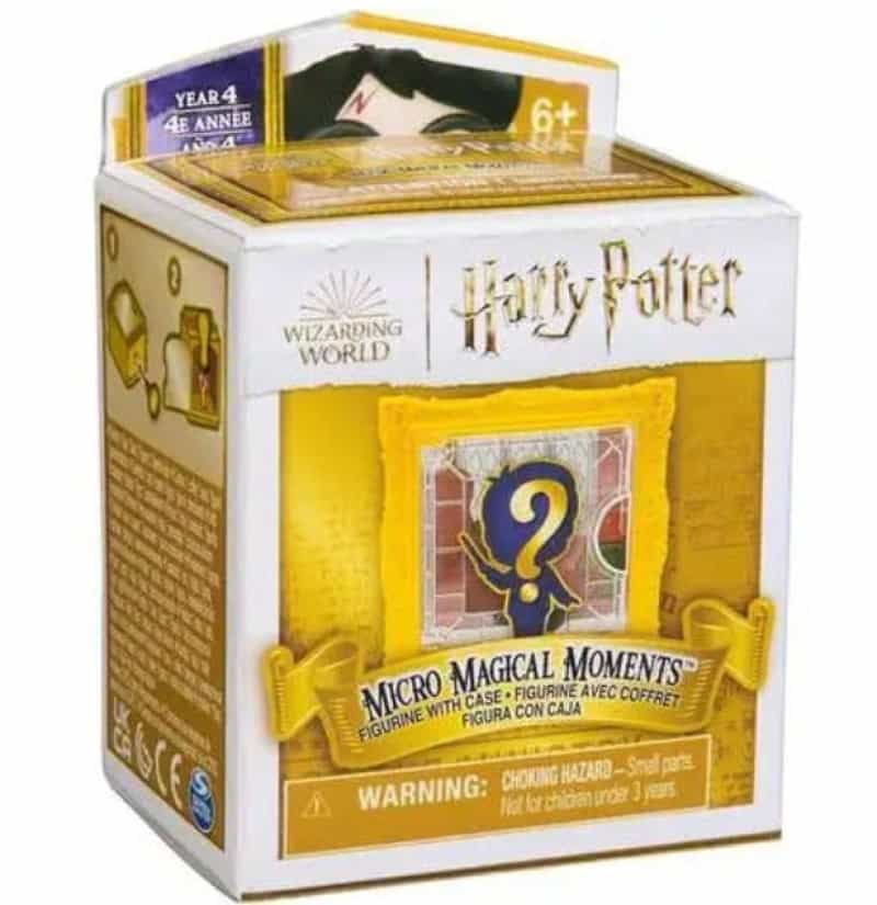 Harry Potter Year 4 Micro Magical Moments