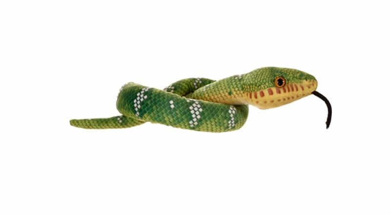 Green Coiled Snakes Emerald Tree Boa Stuffed Animal - 36"