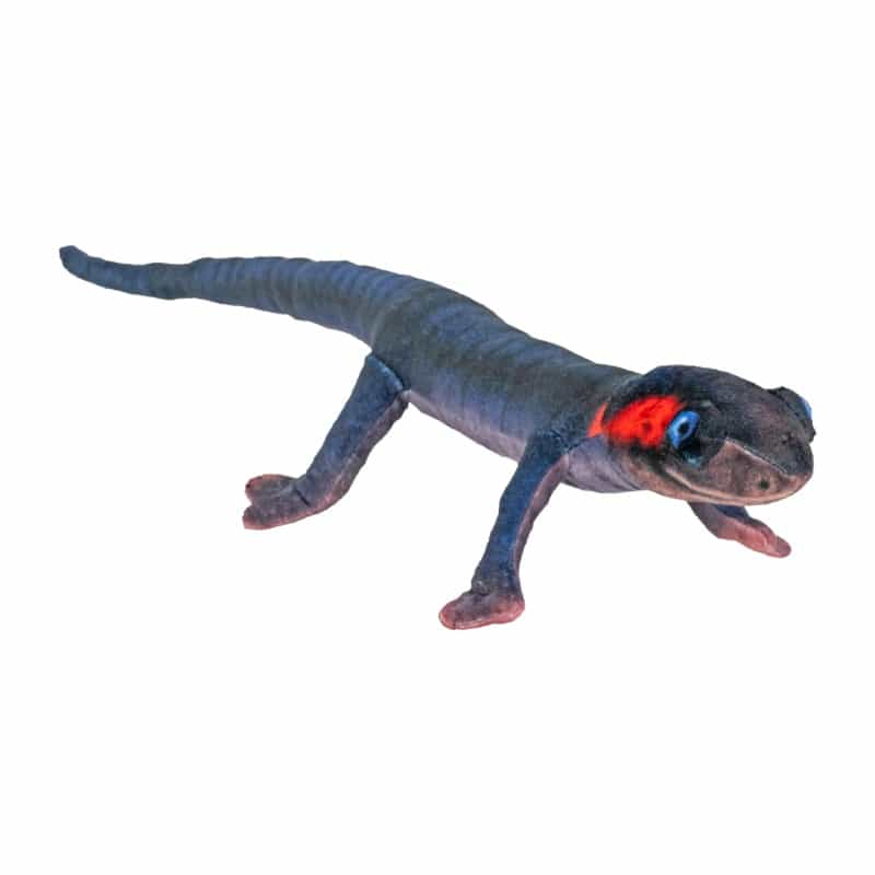 Coilkins Red Cheeked Salamander Stuffed Animal - 12"