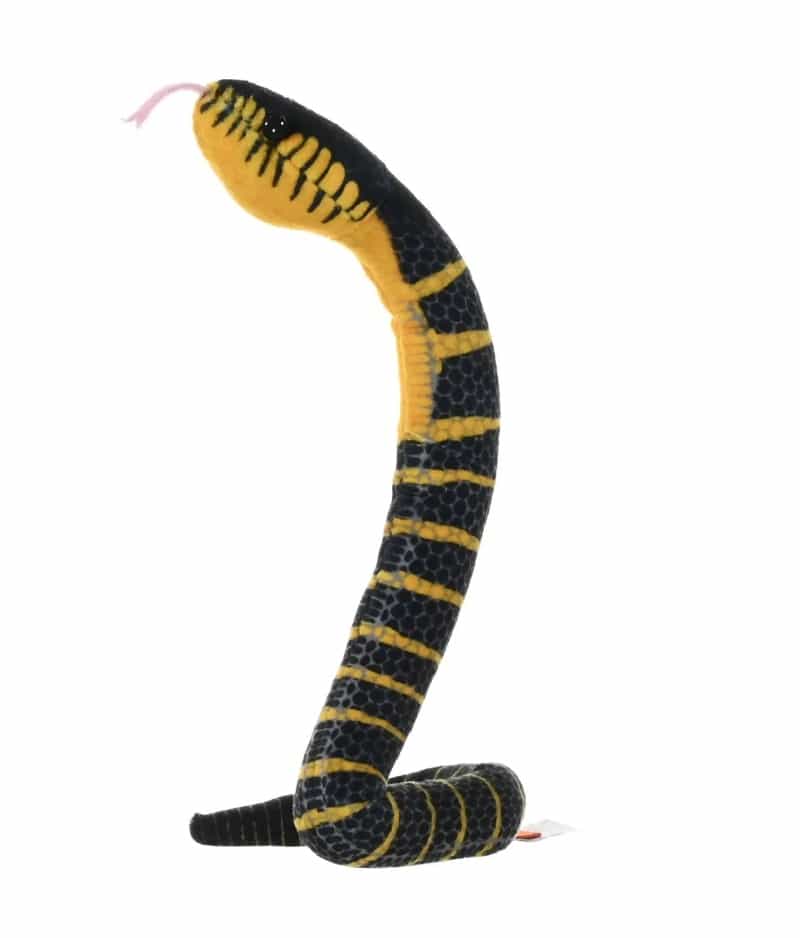 Coilkins Black Fanged Mangrove Snake Stuffed Animal - 12"