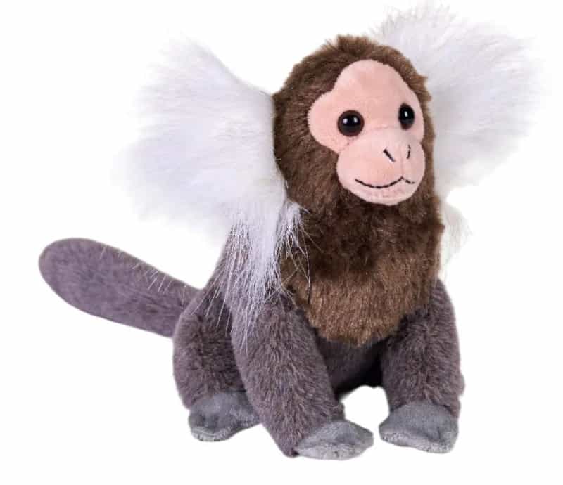 Rainforest Splendors Common Marmoset Stuffed Animal - 6"