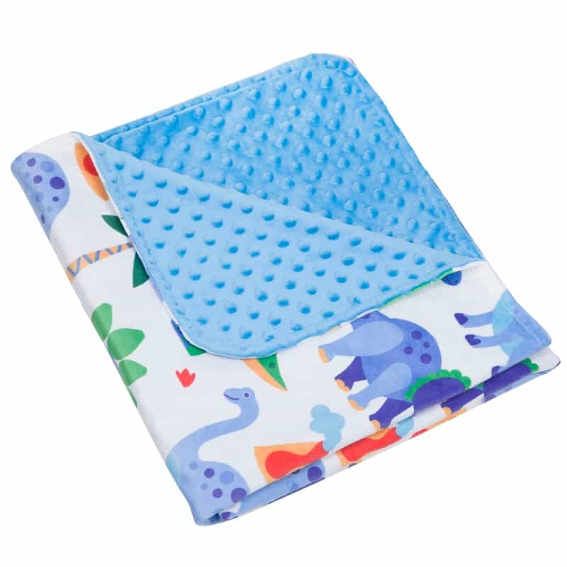 Dinosaur Land Plush Baby Blanket