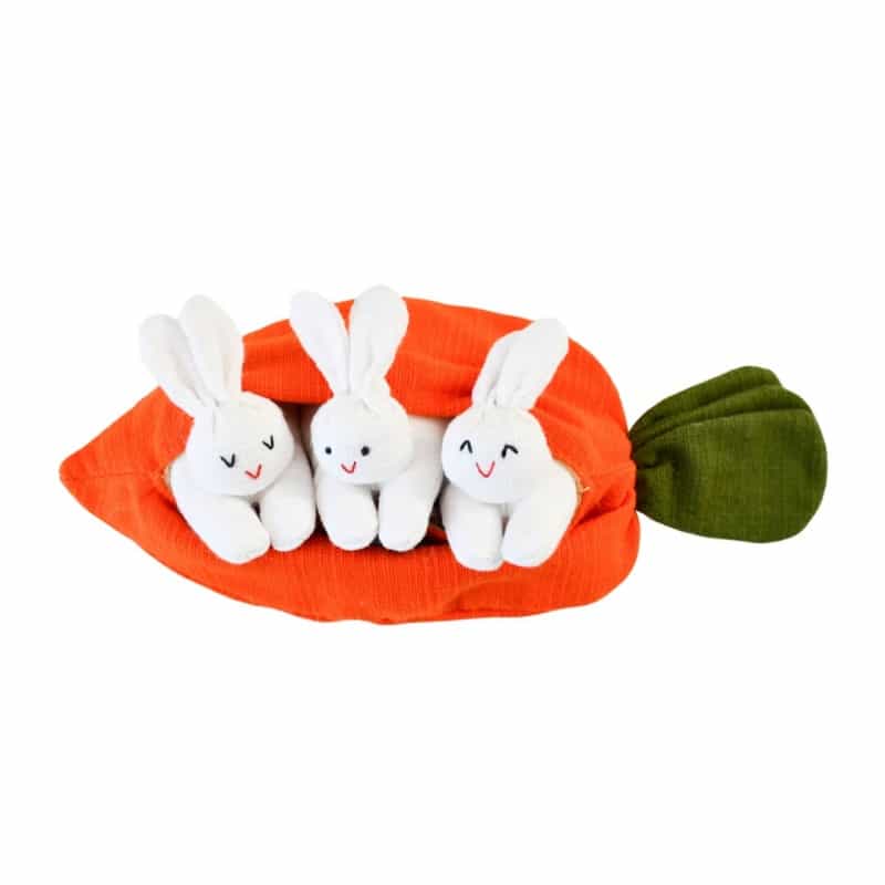 Hide-And-Seek Bunnies In Carrot Pouch