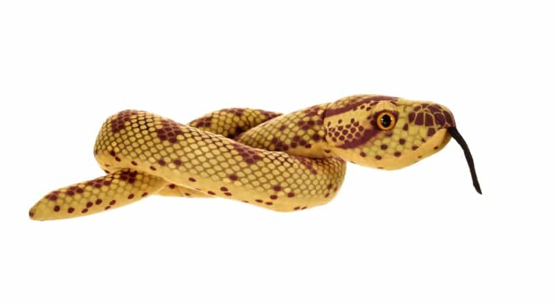 Green Coiled Snakes Anaconda Stuffed Animal - 36"