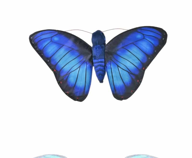 Butterflies Blue Morpho Stuffed Animal - 7"