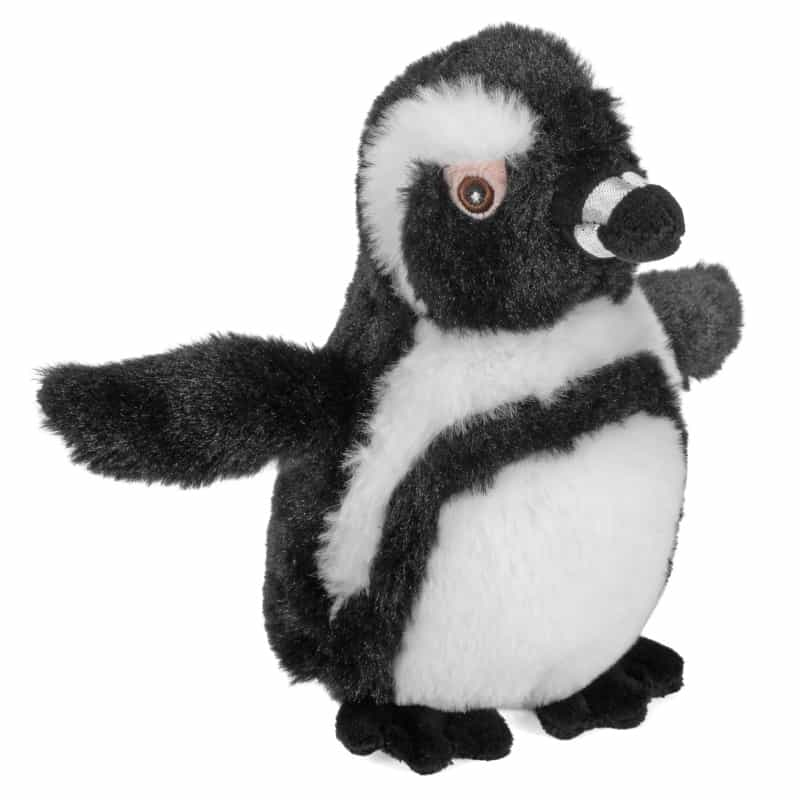 Ecokins Mini Black Footed Penguin Stuffed Animal - 8"