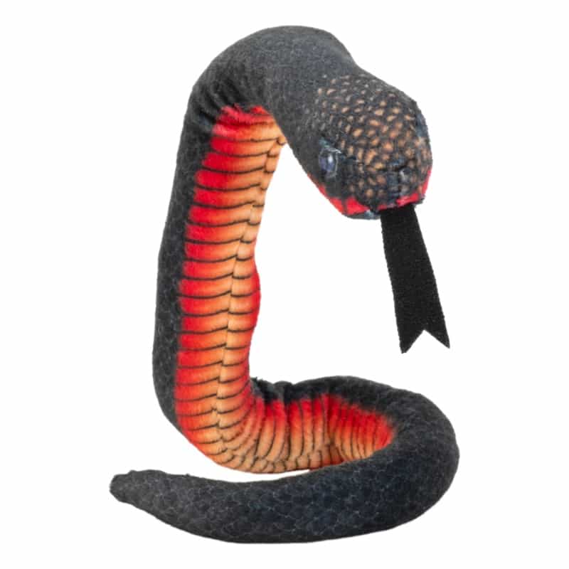 Coilkins Red Bellied Black Snake Stuffed Animal - 12"