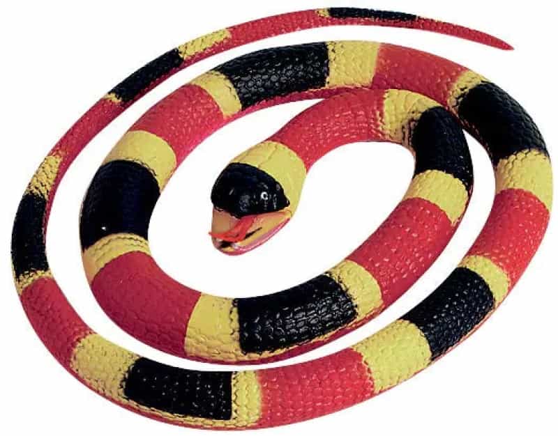 Rubber Snakes Coral Snake - 26"