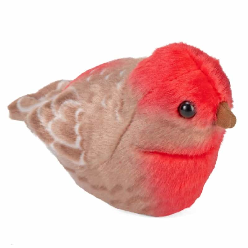 Audubon Birds House Finch Stuffed Animal - 5.5"