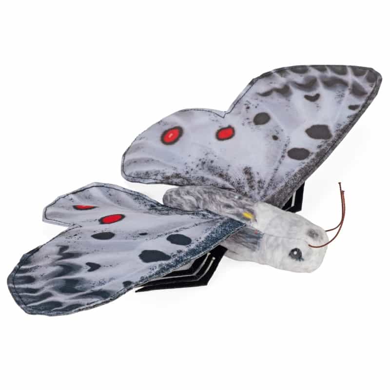 Butterflies Apollo Stuffed Animal - 7"